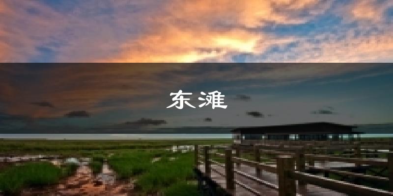 东滩天气预报十五天