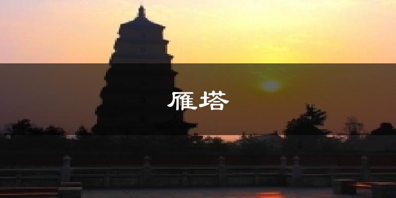 雁塔天气预报十五天