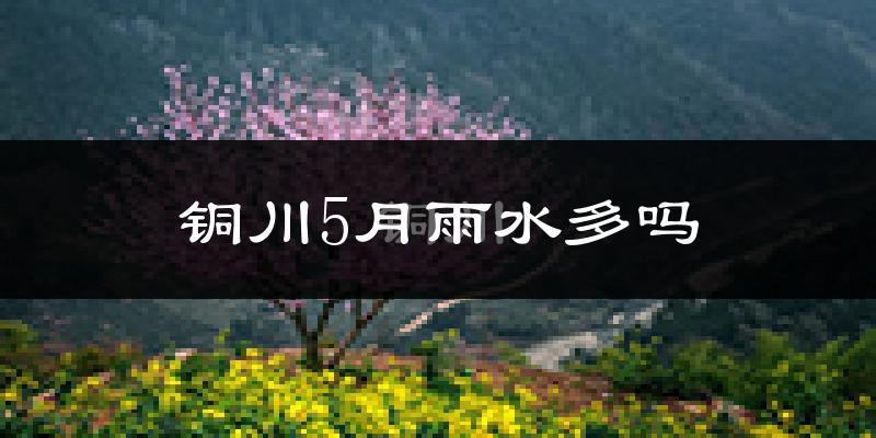 铜川5月雨水多吗?