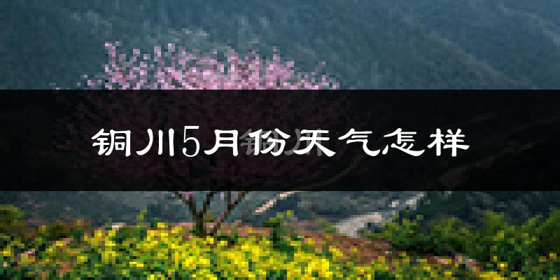 铜川5月份天气如何?很热吗?