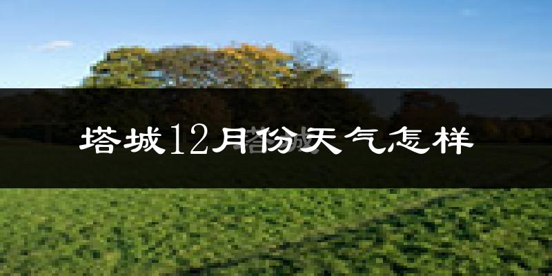 塔城12月份天气怎样?塔城十二月冷吗?