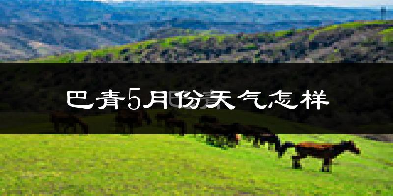 西藏巴青县5月份天气如何?很冷吗?