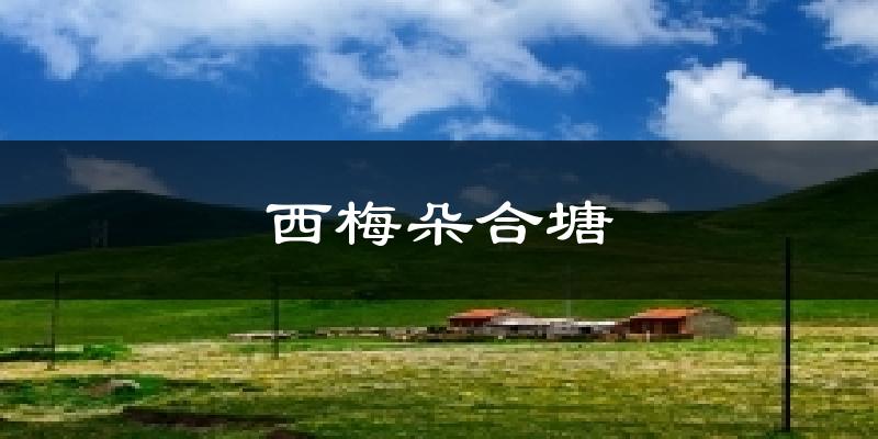 西梅朵合塘天气预报十五天