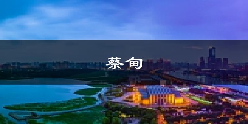 武汉蔡甸天气预报未来一周