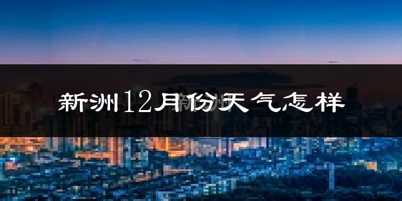 新洲12月份天气怎样?新洲十二月冷不冷?