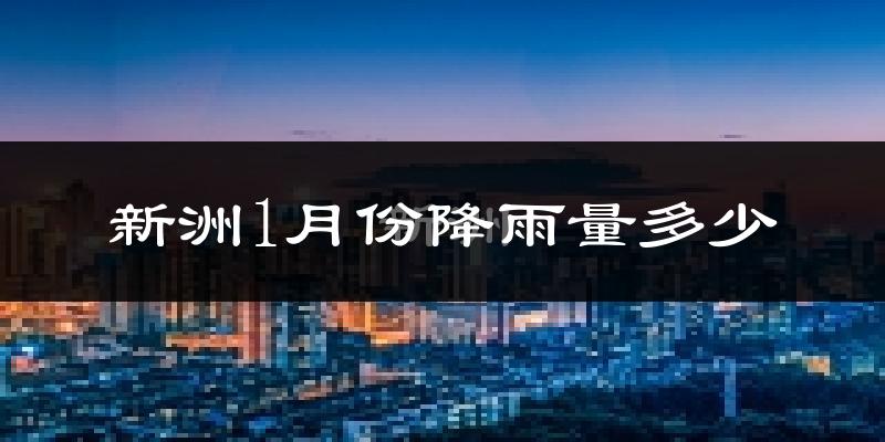 新洲1月份降雨量多少?新洲一月下雨多吗?