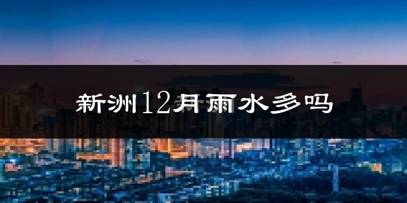 新洲12月雨水多吗?