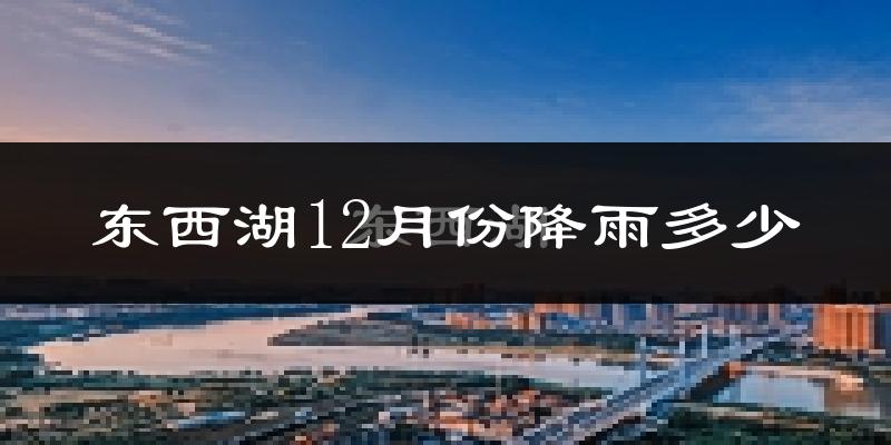 东西湖12月份降雨多少?