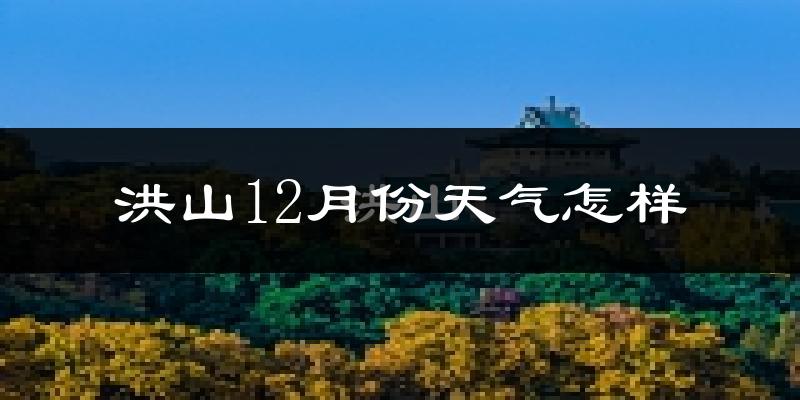 洪山12月份天气怎样?洪山十二月冷吗?