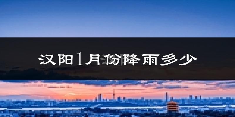 汉阳1月份降雨多少?