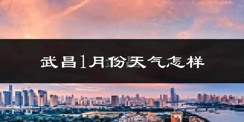 武昌1月份天气怎样?武昌一月冷吗?