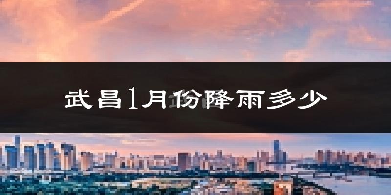 武昌1月份降雨多少?