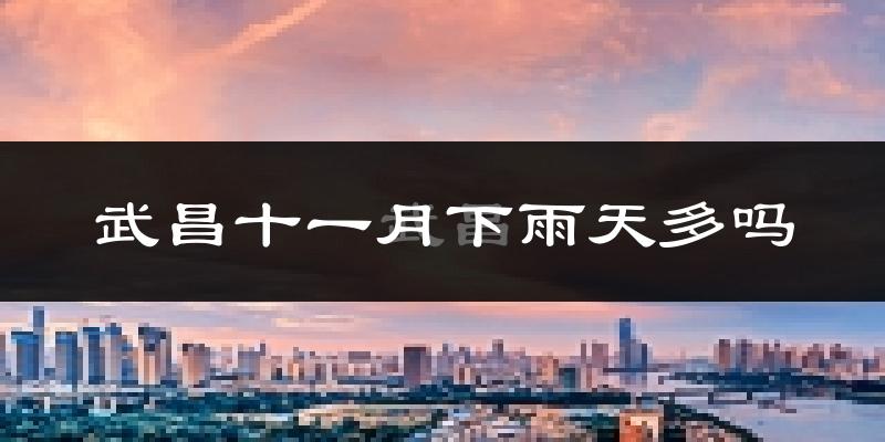 武昌十一月下雨天多吗?武昌11月份降雨量多少?