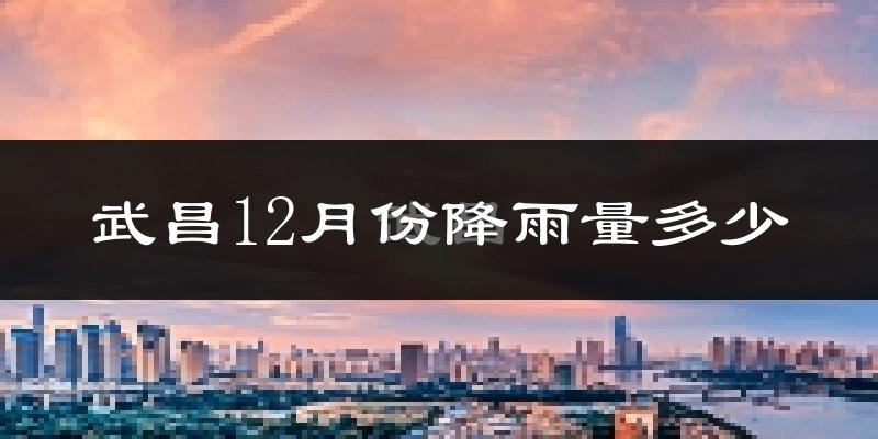 武昌12月份降雨量多少?武昌十二月下雨多吗?