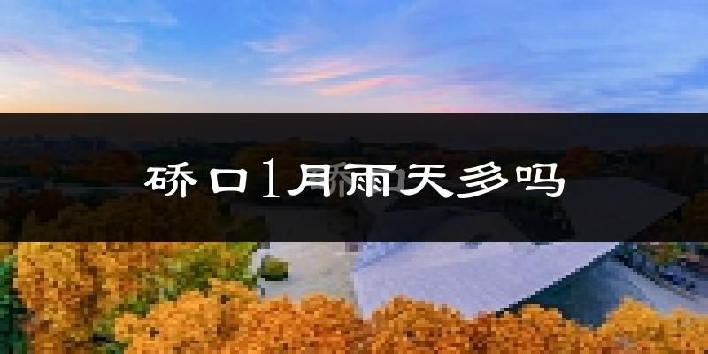 硚口1月雨天多吗?
