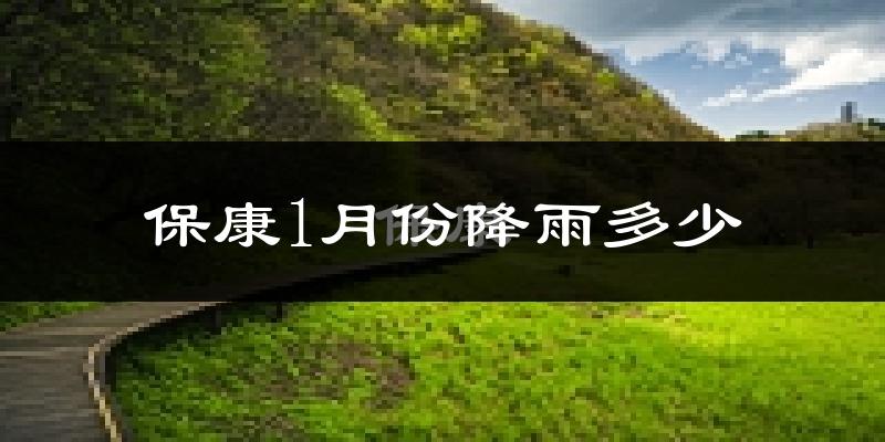 保康1月份降雨多少?