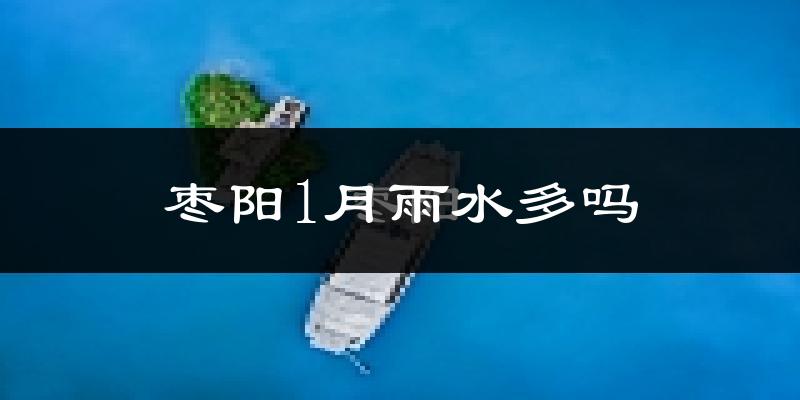 枣阳1月雨水多吗?