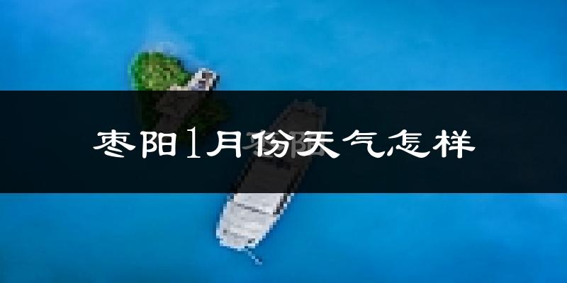 枣阳市1月份天气如何?很冷吗?
