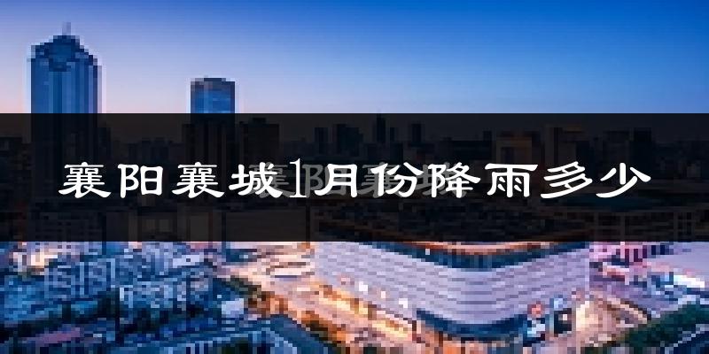 襄阳襄城1月份降雨多少?