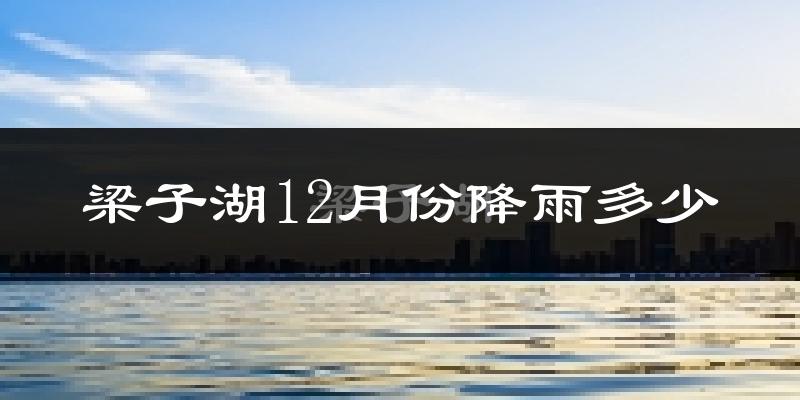 梁子湖12月份降雨多少?