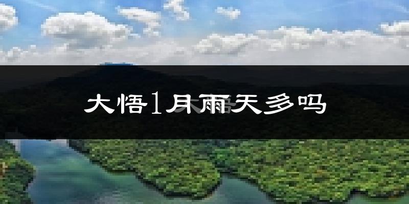 大悟1月雨天多吗?