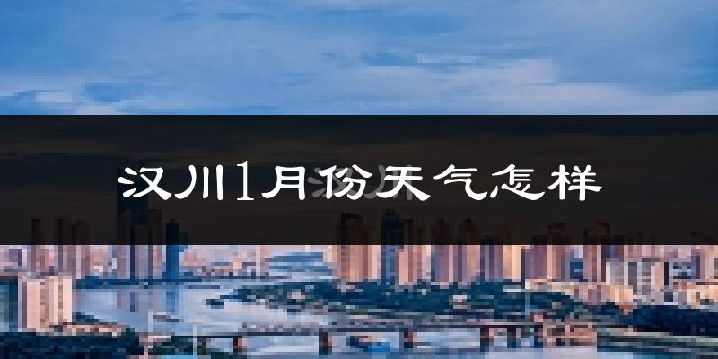 汉川市1月份天气如何?很冷吗?