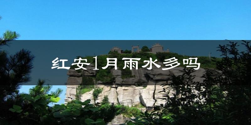 红安1月雨水多吗?