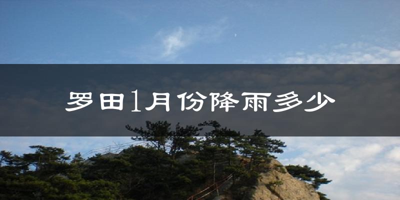 罗田1月份降雨多少?