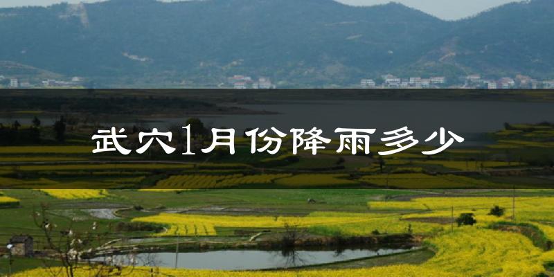 武穴1月份降雨多少?