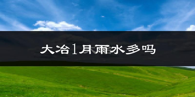 大冶1月雨水多吗?