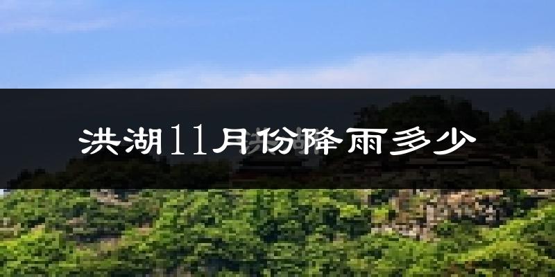 洪湖11月份降雨多少?