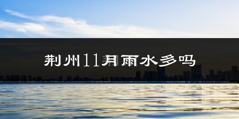 荆州11月雨水多吗?