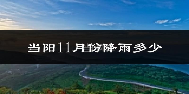 当阳11月份降雨多少?