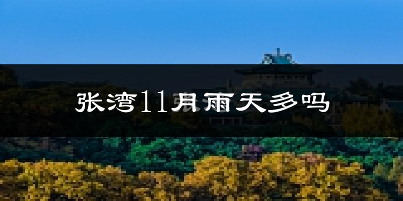 张湾11月雨天多吗?