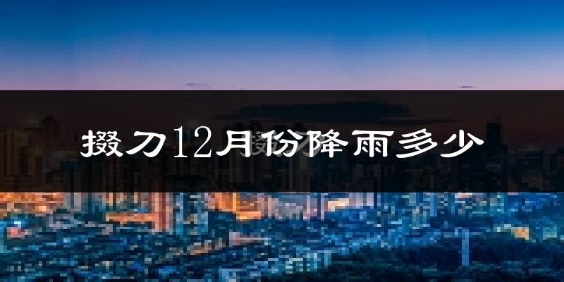 掇刀12月份降雨多少?