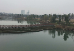 沙洋天气