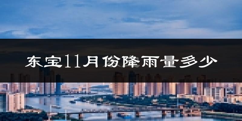 东宝11月份降雨量多少?东宝十一月下雨多吗?