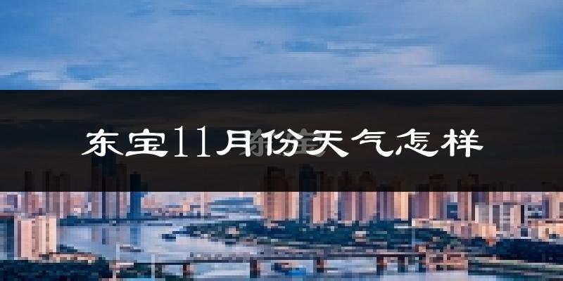 东宝11月份天气怎样?东宝十一月冷吗?