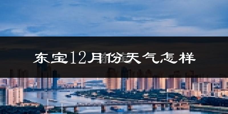 东宝12月份天气怎样?东宝十二月冷不冷?