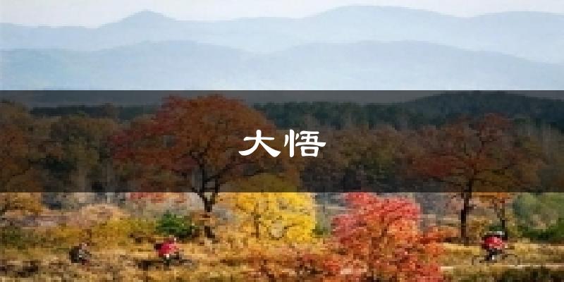 大悟今日天气