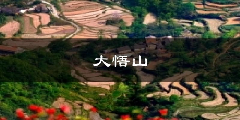 大悟山今日天气