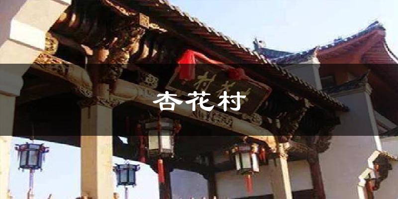杏花村今日天气