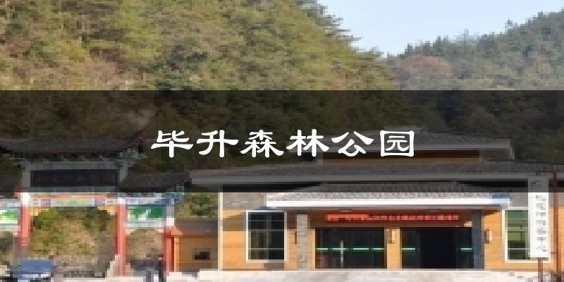 毕升森林公园今日天气