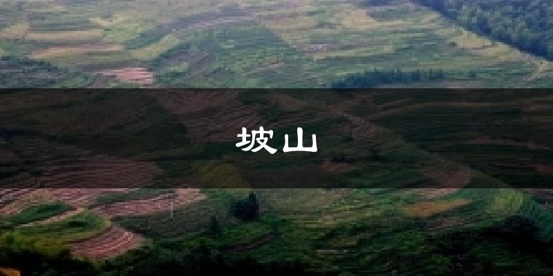 坡山气温