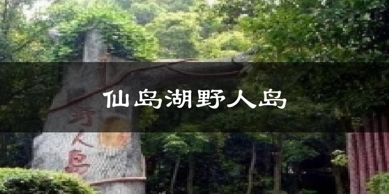 仙岛湖野人岛气温