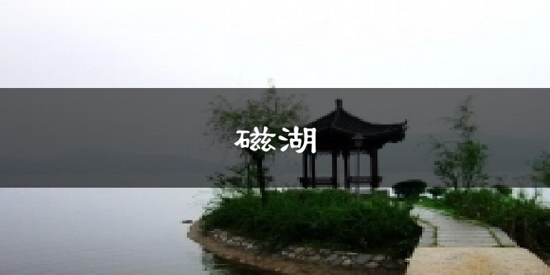 磁湖今日天气