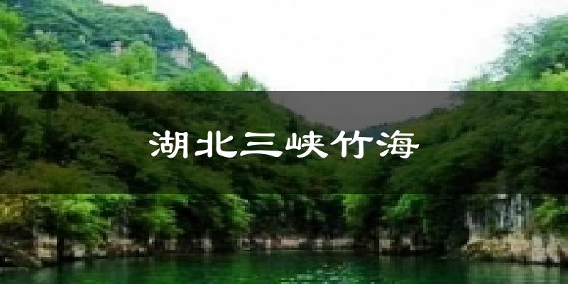 湖北三峡竹海今日天气