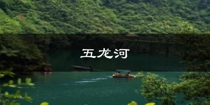 五龙河今日天气