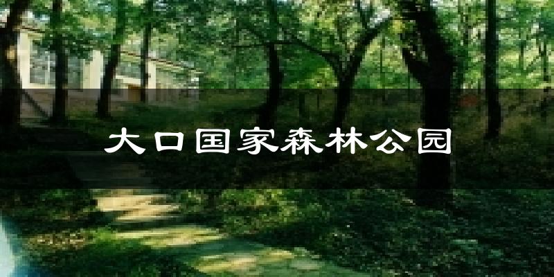 大口国家森林公园今日天气