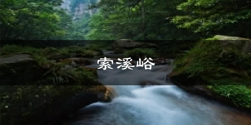索溪峪天气预报十五天
